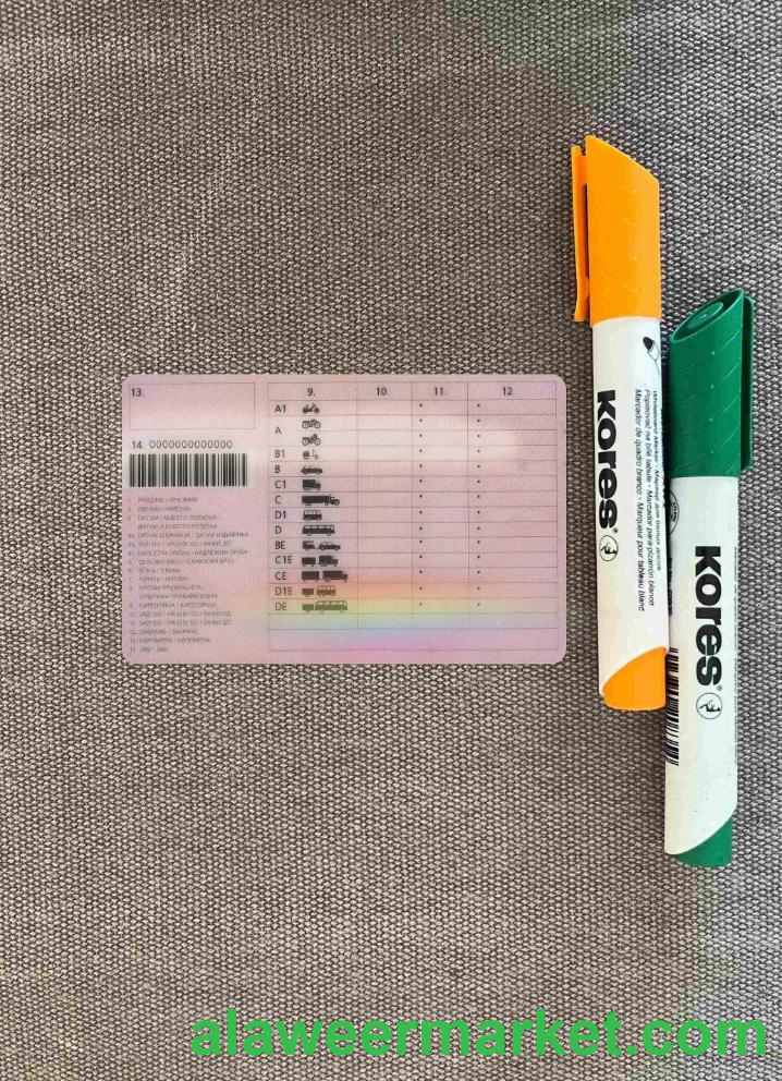 Bosnia and Herzegovina driving license photolook BACK
